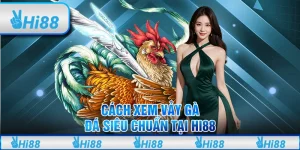 Cách xem Vảy Gà Đá Siêu Chuẩn Tại Hi88