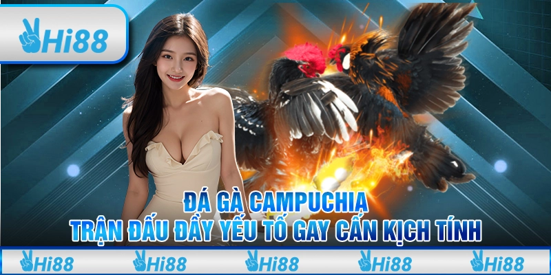 Các loại vảy gà tài quý hiếm hiện nay? Liệu có đá hay?