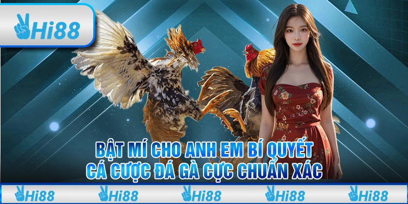 Bật mí cho anh em bí quyết cá cược đá gà cực chuẩn xác