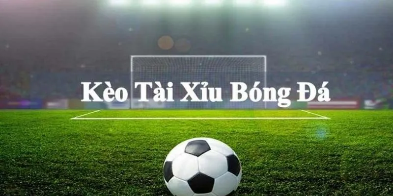 Một số bí quyết từ những cao thủ cược tài xỉu bóng đá tại 789Bet