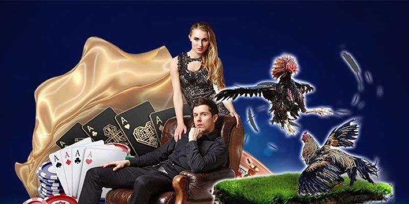 Vin777 com luôn áp dụng các sự kiện ưu đãi