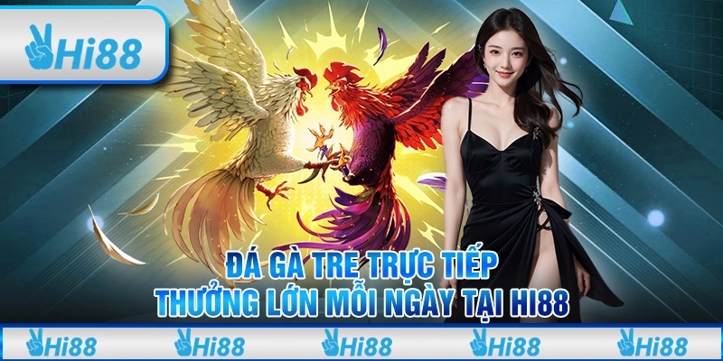 Đá Gà Tre Trực Tiếp, Thưởng Lớn Mỗi Ngày Tại Hi88
