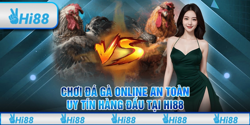 Chơi Đá Gà Online An Toàn, Uy Tín Hàng Đầu Tại Hi88