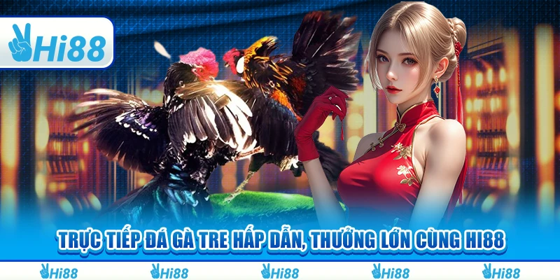Trực Tiếp Đá Gà Tre Hấp Dẫn, Thưởng Lớn Cùng Hi88
