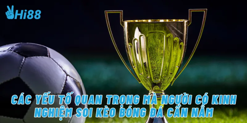 Các yếu tố quan trọng mà người có kinh nghiệm soi kèo bóng đá cần nắm