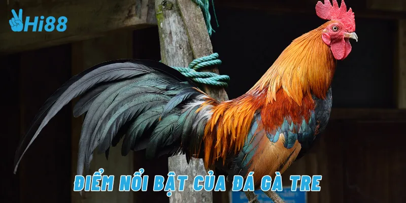 Điểm nổi bật của đá gà tre