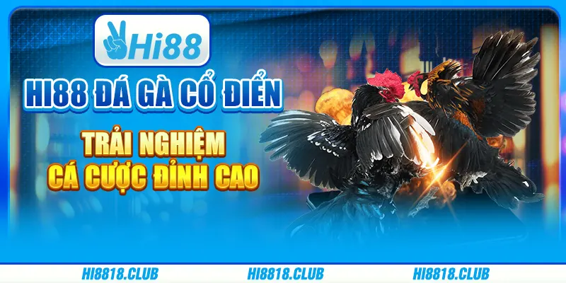 Hi88 Đá Gà Cổ Điển Trải Nghiệm Cá Cược Đỉnh Cao
