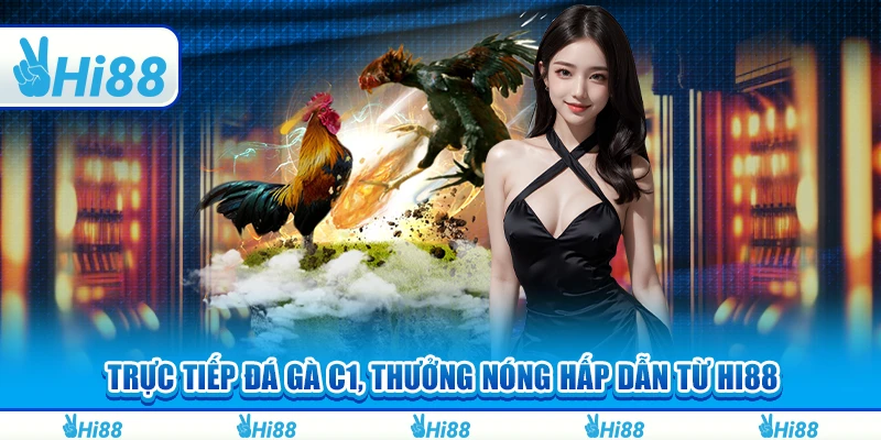 Trực Tiếp Đá Gà C1, Thưởng Nóng Hấp Dẫn Từ Hi88