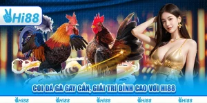 Coi Đá Gà Gay Cấn, Giải Trí Đỉnh Cao Với Hi88