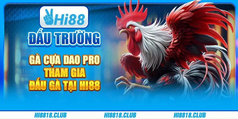 Đấu trường gà Cựa Dao Pro – Tham gia đấu gà tại Hi88