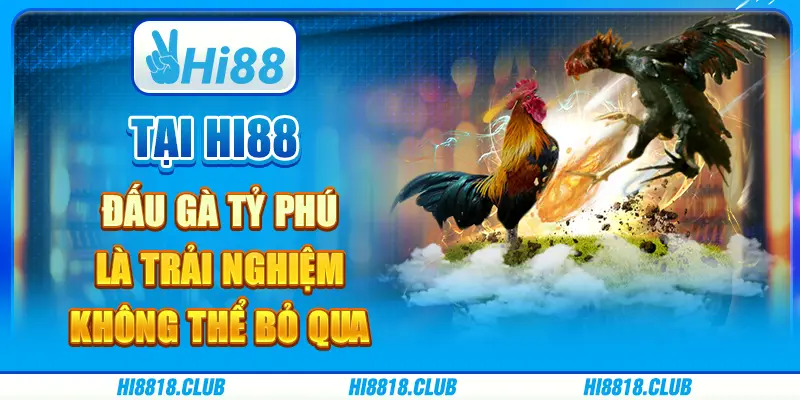 Tại Hi88, Đấu Gà Tỷ Phú Là Trải Nghiệm Không Thể Bỏ Qua