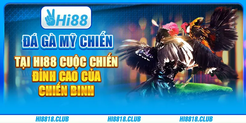 Đá Gà Mỹ Chiến Tại Hi88: Cuộc Chiến Đỉnh Cao Của Chiến Binh