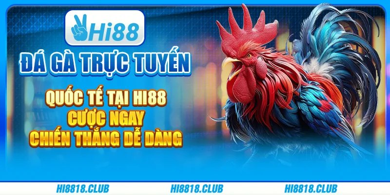 Đá gà trực tuyến quốc tế tại Hi88 - Cược ngay, chiến thắng dễ dàng