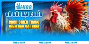Gà Nòi Đại Chiến – Cách chiến thắng đỉnh cao với Hi88
