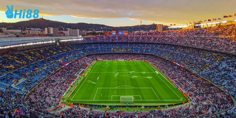 Các loại kèo thường gặp trong cách đọc kèo cá độ bóng đá