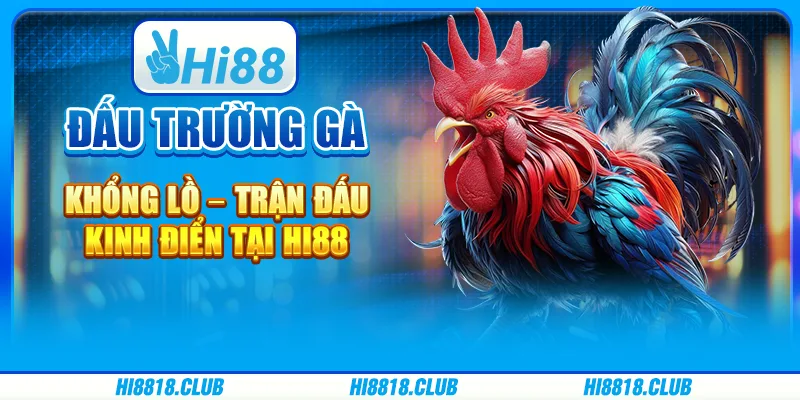 Đấu Trường Gà Khổng Lồ – Trận Đấu Kinh Điển Tại Hi88