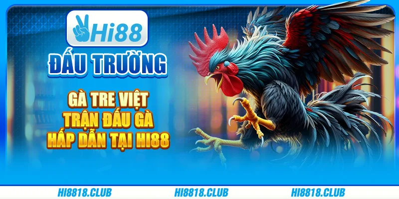 Đấu Trường Gà Tre Việt – Trận Đấu Gà Hấp Dẫn Tại Hi88