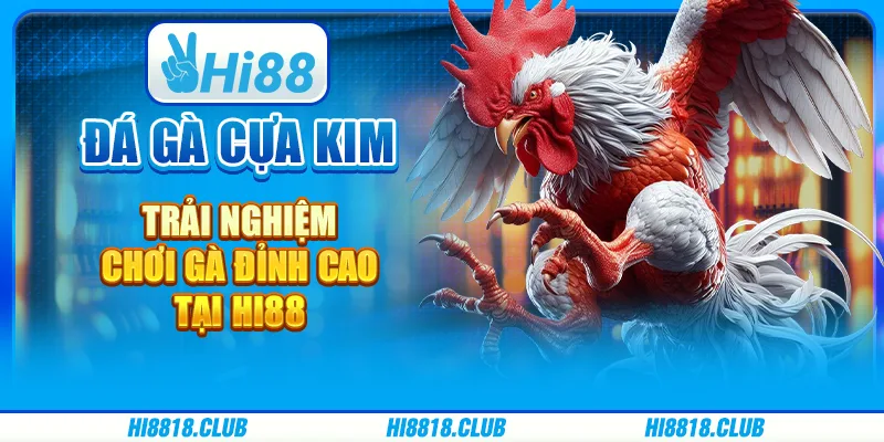Đá Gà Cựa Kim – Trải Nghiệm Chơi Gà Đỉnh Cao Tại Hi88