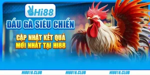 Đấu Gà Siêu Chiến Cập Nhật Kết Quả Mới Nhất Tại Hi88