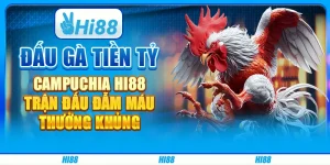 Đấu Gà Tiền Tỷ Campuchia Hi88 - Trận Đấu Đẫm Máu, Thưởng Khủng