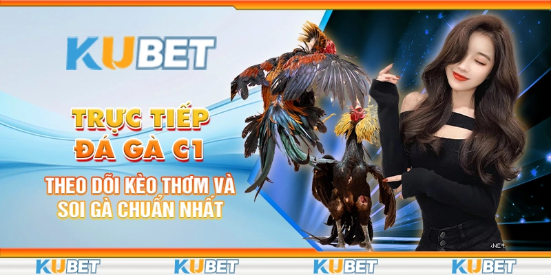 truc-tiep-da-ga-c1-theo-doi-keo-thom-va-soi-ga-chuan-nhat