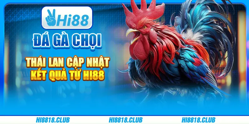 Đá Gà Chọi Thái Lan Cập Nhật Kết Quả Từ Hi88